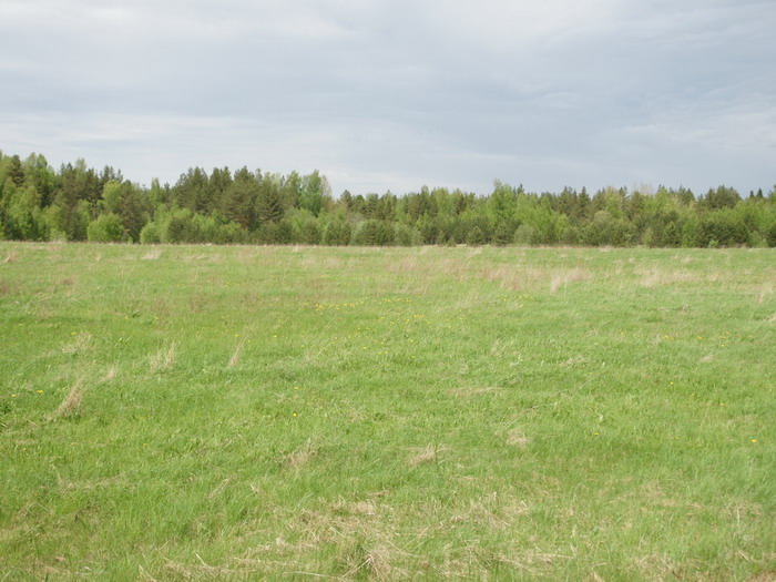 река бурная
