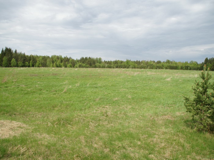 продажа земли на реке бурная