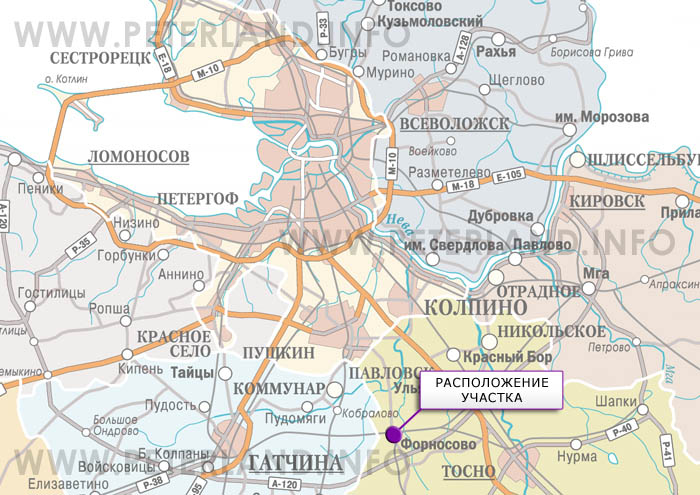 земля форносово