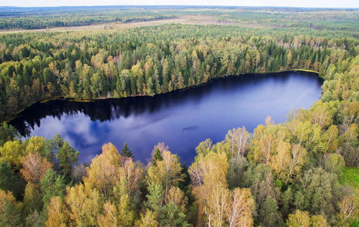 фото аэросъемка участка и озера Банное