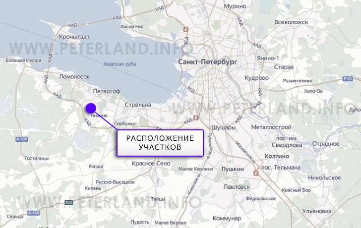 Сашино на карте Ломоносовский район