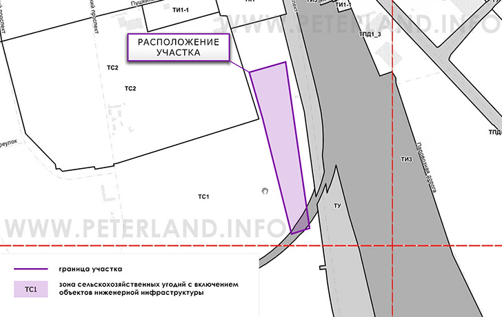 участок на ПЗЗ Пушкинский район