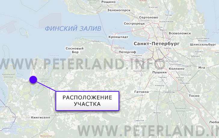 участок под АЗС около порта Усть-Луга